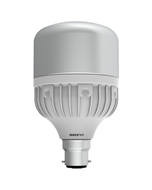 20W-BULB.24