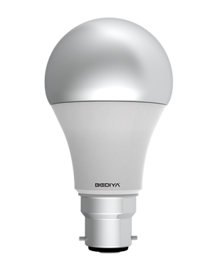 9W BULB.22.