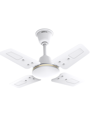 MARUT-600-(15-12-2023)-Base-White